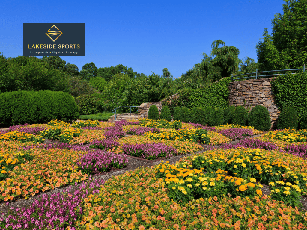 Places to go in Cornelius NC